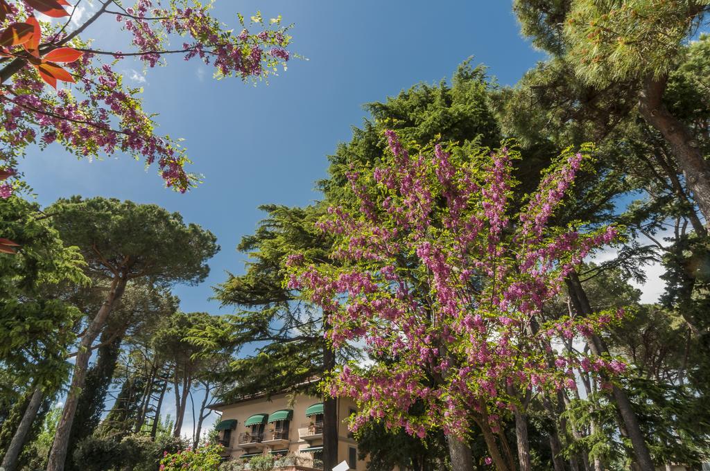 Hotel Kursaal Passignano sul Trasimeno Dış mekan fotoğraf
